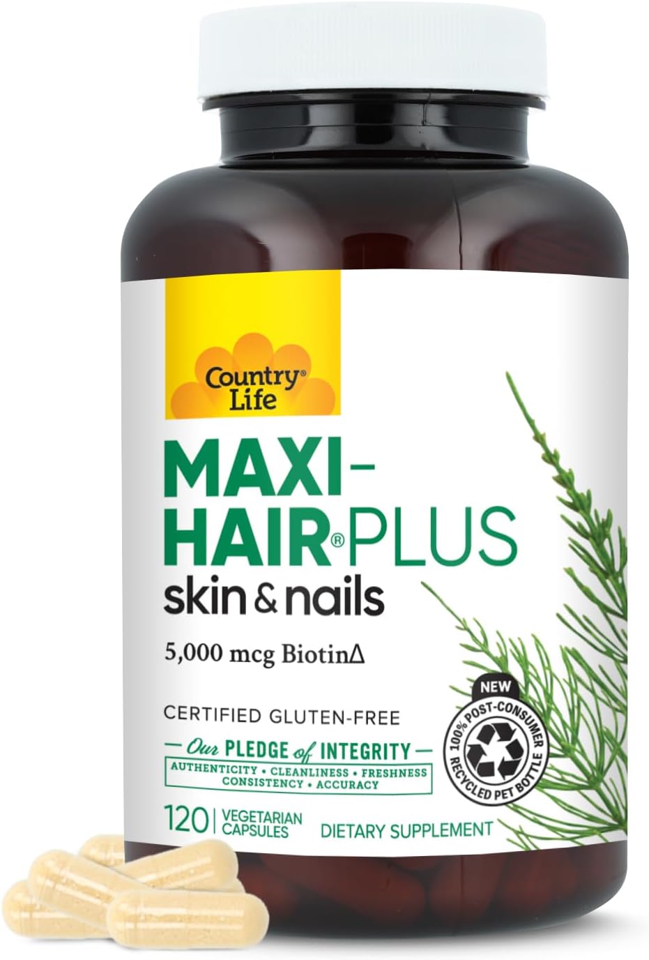 Country Life Maxi-Hair Plus Hair, Skin & Nails Vitamin with 5,000 mcg Biotin - 120 Vegetarian Capsules - görsel 1