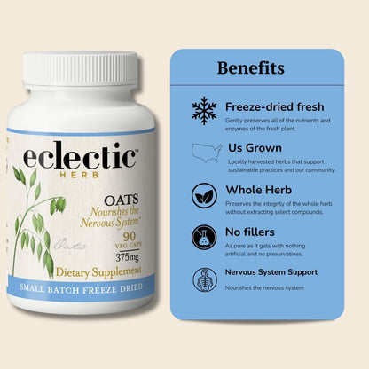 Eclectic Herb - Organic Oats Capsules | Milky Green Oats Avena Sativa | Nervous System Support | Natural Dietary Supplement | US-Grown, Vegan, Non-GMO, Gluten-free (90 CT | 375 mg)