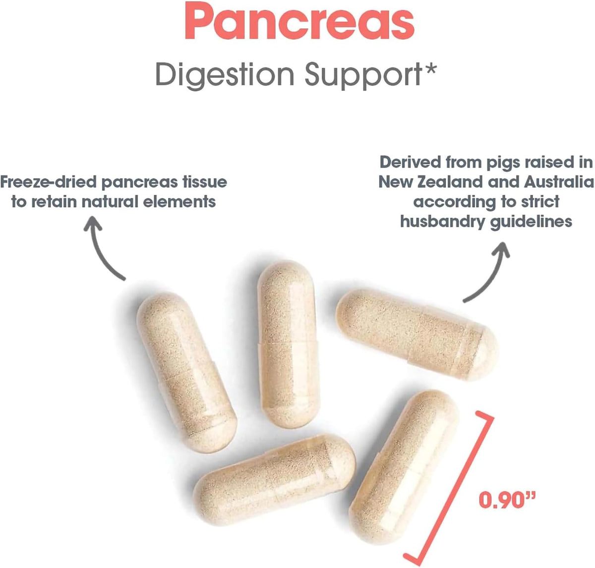 Allergy Research Group Pancreas Natural Glandular - görsel 5
