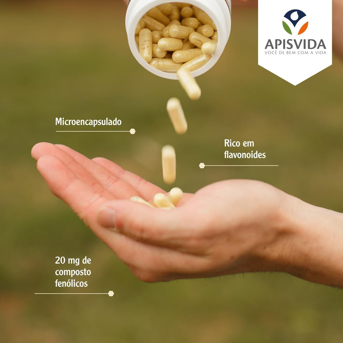 APIS VIDA PropoCaps 2000 – Green Propolis Extract Capsules – Immune Support – 120 Capsules - görsel 6