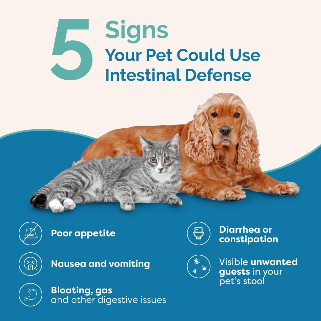 Intestinal Defence Supplement for Dogs & Cats | Herbal Formula for Digestive Health | 2-Pack - görsel 3