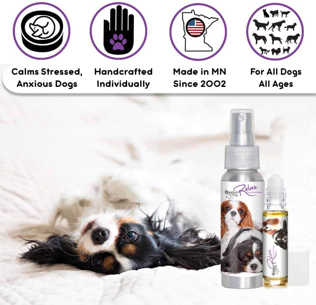 The Blissful Dog Cavalier King Charles Spaniel Relax Dog Aromatherapy Spray for Your Dog's Anxiety - görsel 3