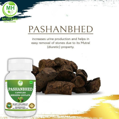 Pashanabheda (Bergenia ligulata) Powder Capsules - 500mg, 240 Vegetable Capsules