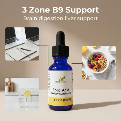Herb-Science Liquid Vitamin B9 Folic Acid Supplement – Supports Normal Homocysteine Metabolism, Psychological Function & Reduces Tiredness – Vegan, Non-GMO – 30 ml