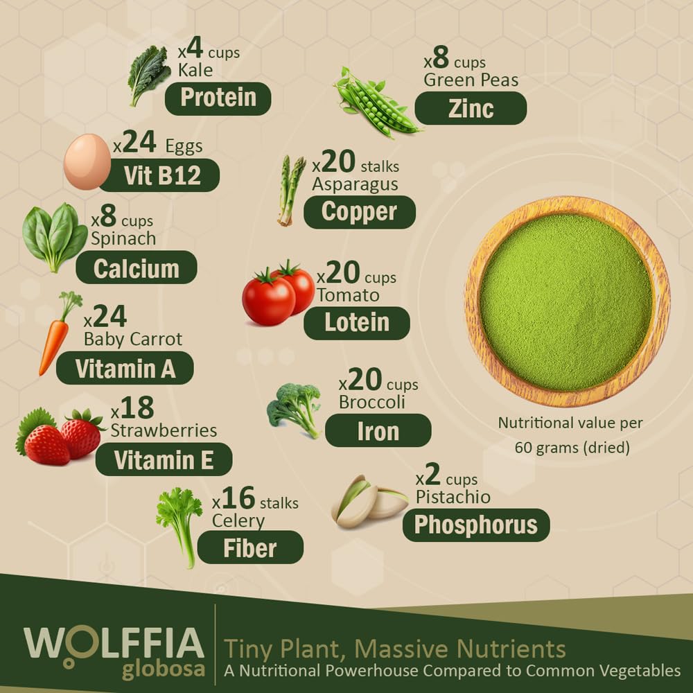 AMA GROW Premium Dried Wolffia globosa Superfood - 60g - görsel 2