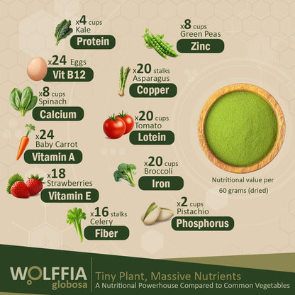 AMA GROW Premium Dried Wolffia globosa Superfood - 60g