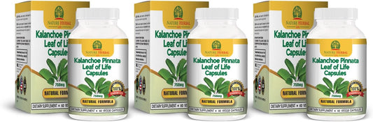 Nature Herbal Life Kalanchoe Pinnata (Leaf of Life) 750mg Vegetarian Capsules, 180 Capsules (3 Bottles)