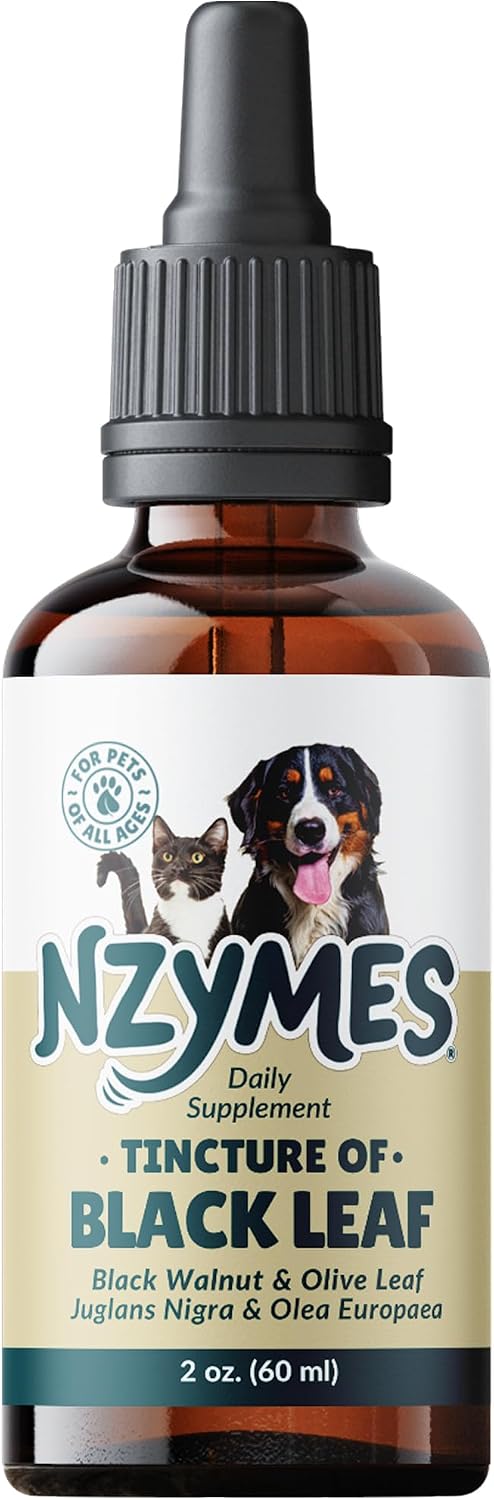 BlackLeaf Tincture for Pets - 6 Pack - görsel 8