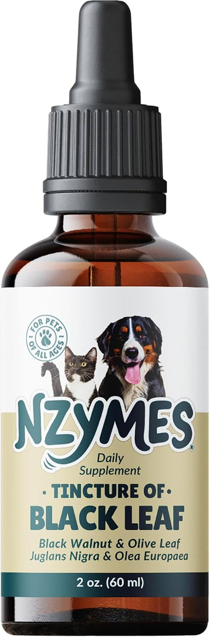 BlackLeaf Tincture for Pets - 6 Pack