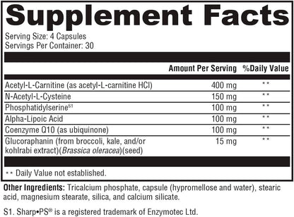 XYMOGEN NeuroActives BrainSustain - Brain Health Support with Phosphatidylserine & CoQ10 - 240 Capsules