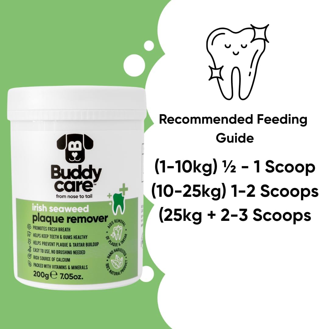 Buddycare Irish Seaweed Plaque Remover - 227g - görsel 3