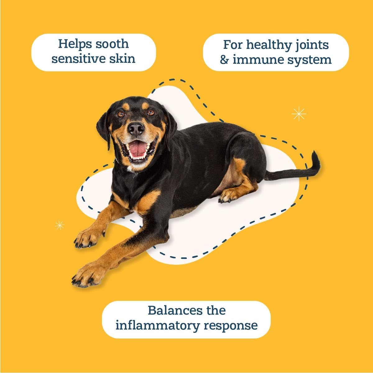 Alice & Eli Happy Skin - Seasonal Allergy Support with Quercetin & Bovine Colostrum for Dogs - görsel 3