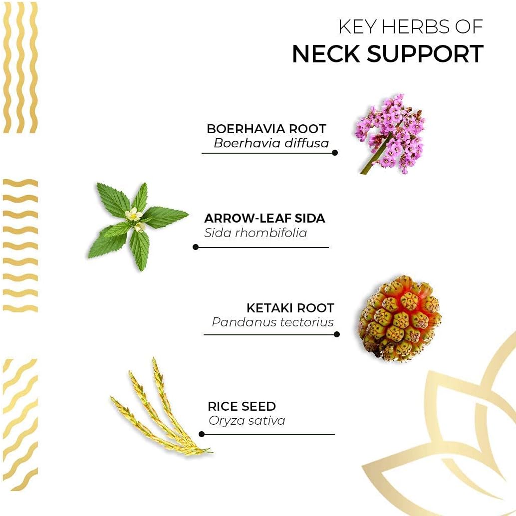 Kerala Ayurveda Neck Support Herbal Capsules - Ayurvedic Support for Neck, Shoulders, and Upper Back, 90 Capsules - görsel 6