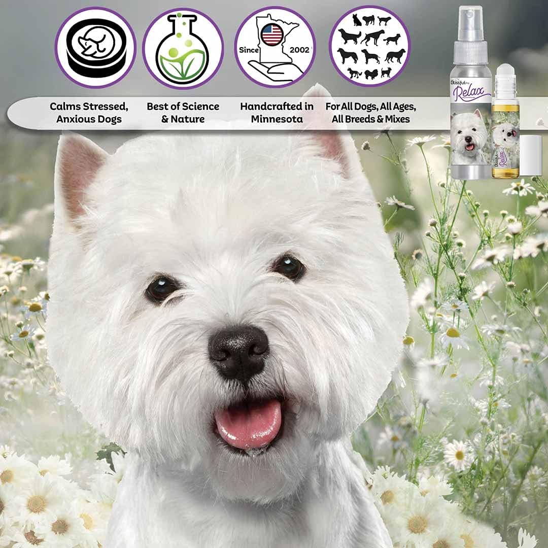 The Blissful Dog West Highland White Terrier Relax Dog Aromatherapy Spray for Dog Anxiety - görsel 2