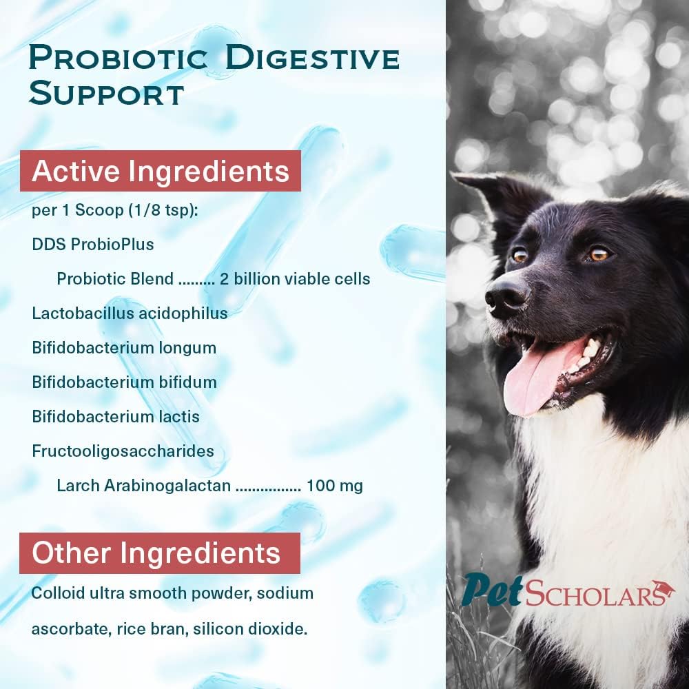 Pet Scholars Probiotic Digestive Support for Dogs & Cats (2.12 oz) - görsel 5