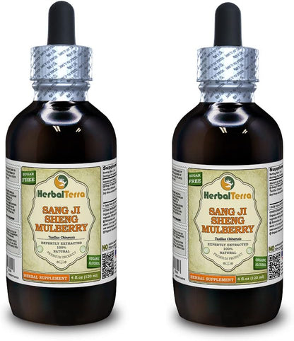 Sang Ji Sheng (Mulberry Mistletoe) Tincture, 20 x 120 ml - HerbalTerra