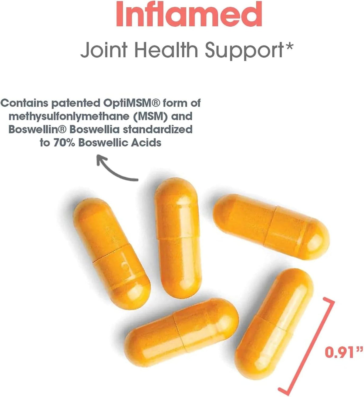 Nutricology Enzocaine - Proteolytic Enzyme Food Supplement for Connective Tissue & Structural Support - 120 Capsules - görsel 5