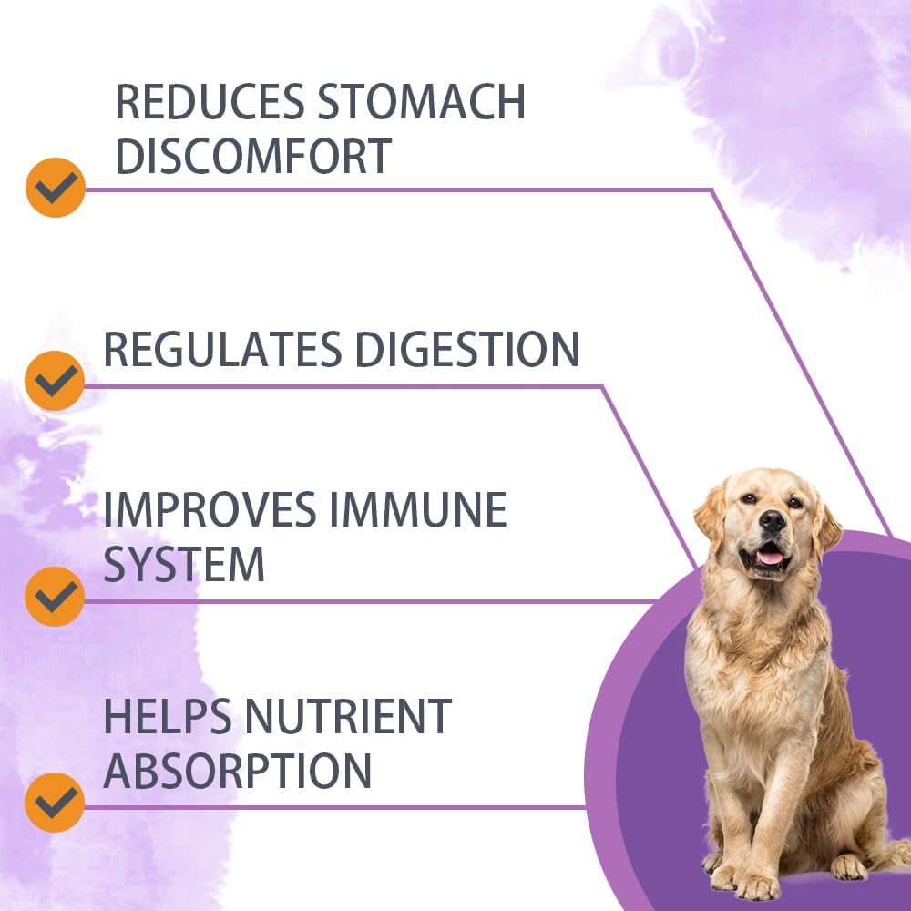 Nutridog Dog Probiotic Chews – 6 Billion CFU, 6 Strains, Duck Flavour (120 Count) - görsel 4