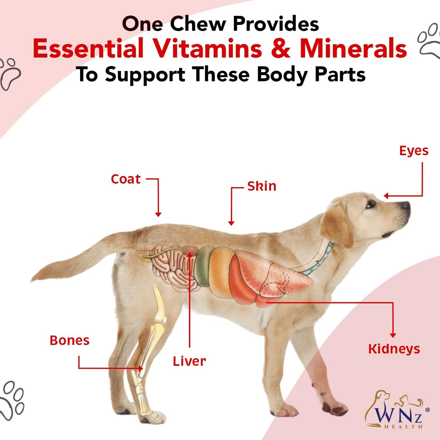 WNz Health Dog Probiotics & Multivitamins with Turmeric & Yucca, 60 Chews - görsel 6