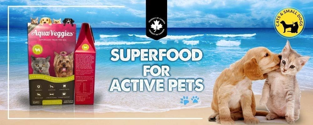 Superfood from the Sea for Pets – Daily Multivitamin Packs for Small Dogs & Cats (75g, 30 Sachets) - görsel 6