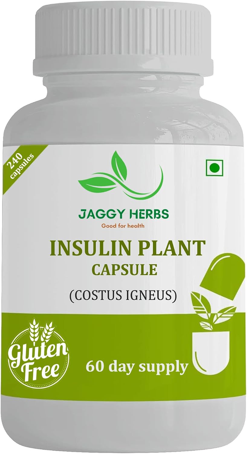 JAGGY Premium Insulin Plant Capsules (Costus Igneus) - 240 Vegetarian Capsules, 60-Day Supply - görsel 5