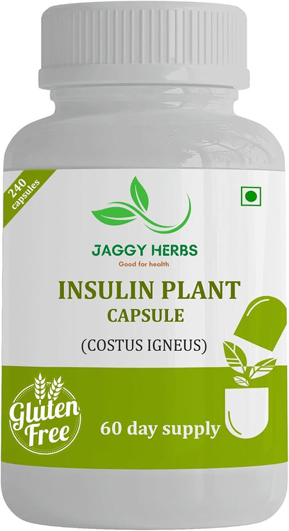 JAGGY Premium Insulin Plant Capsules (Costus Igneus) - 240 Vegetarian Capsules, 60-Day Supply