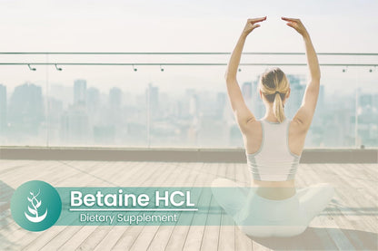 PURE ORIGINAL INGREDIENTS Betaine HCL – 100 Capsules – Pure, No Additives, Lab Verified