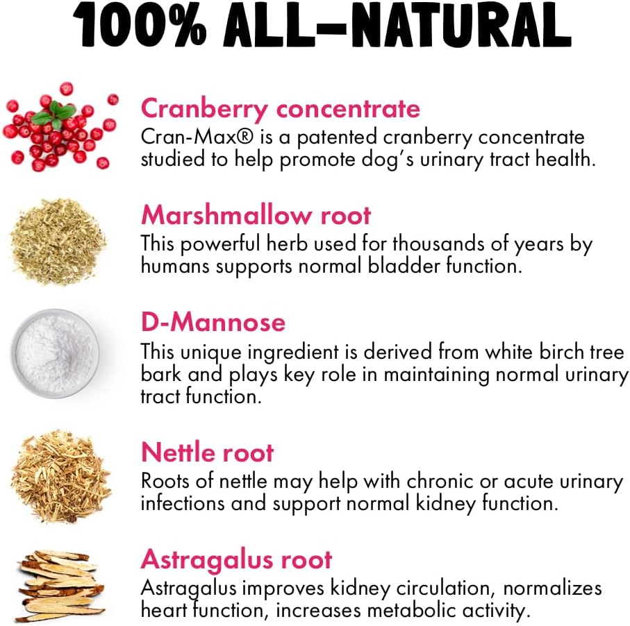 Cranberry UTI Chews for Dogs Bladder Support and D-Mannose - görsel 4