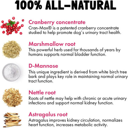 Cranberry UTI Chews for Dogs Bladder Support and D-Mannose