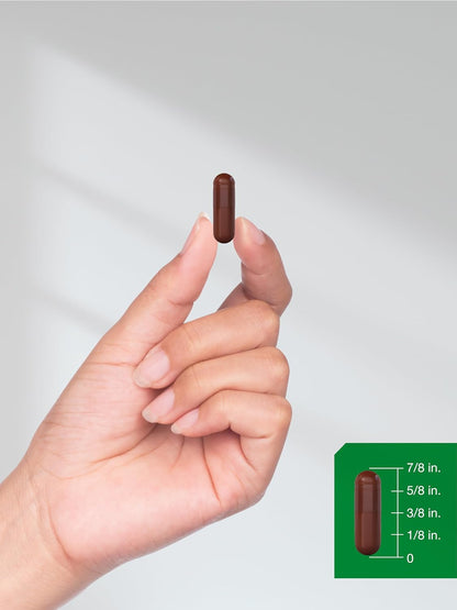Horbäach Pine Bark Extract | 180 Capsules | Standardised to 75% Proanthocyanidins | Non-GMO, Gluten-free Supplement