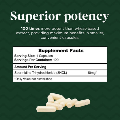 Probase Nutrition Spermidine (10 mg of 99% Spermidine 3HCL – Third-Party Tested) 120 Capsules