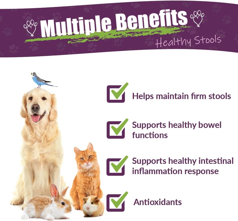 Amber NaturalZ Kochi Free Herbal Supplement for Pets – Supports Digestive Balance – 118ml - görsel 2