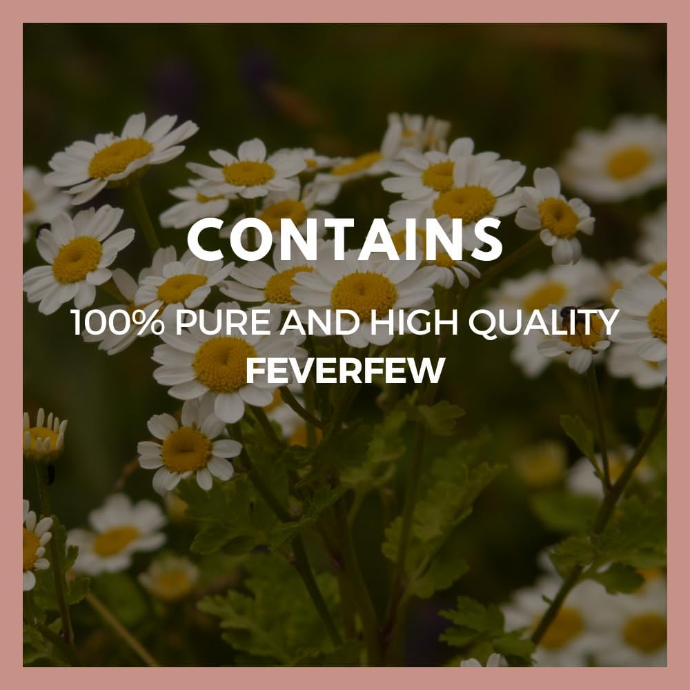Feverfew | 1,000 mg, 60 Vegan Capsules Herbal Food Supplement | Two Month Supply - görsel 4