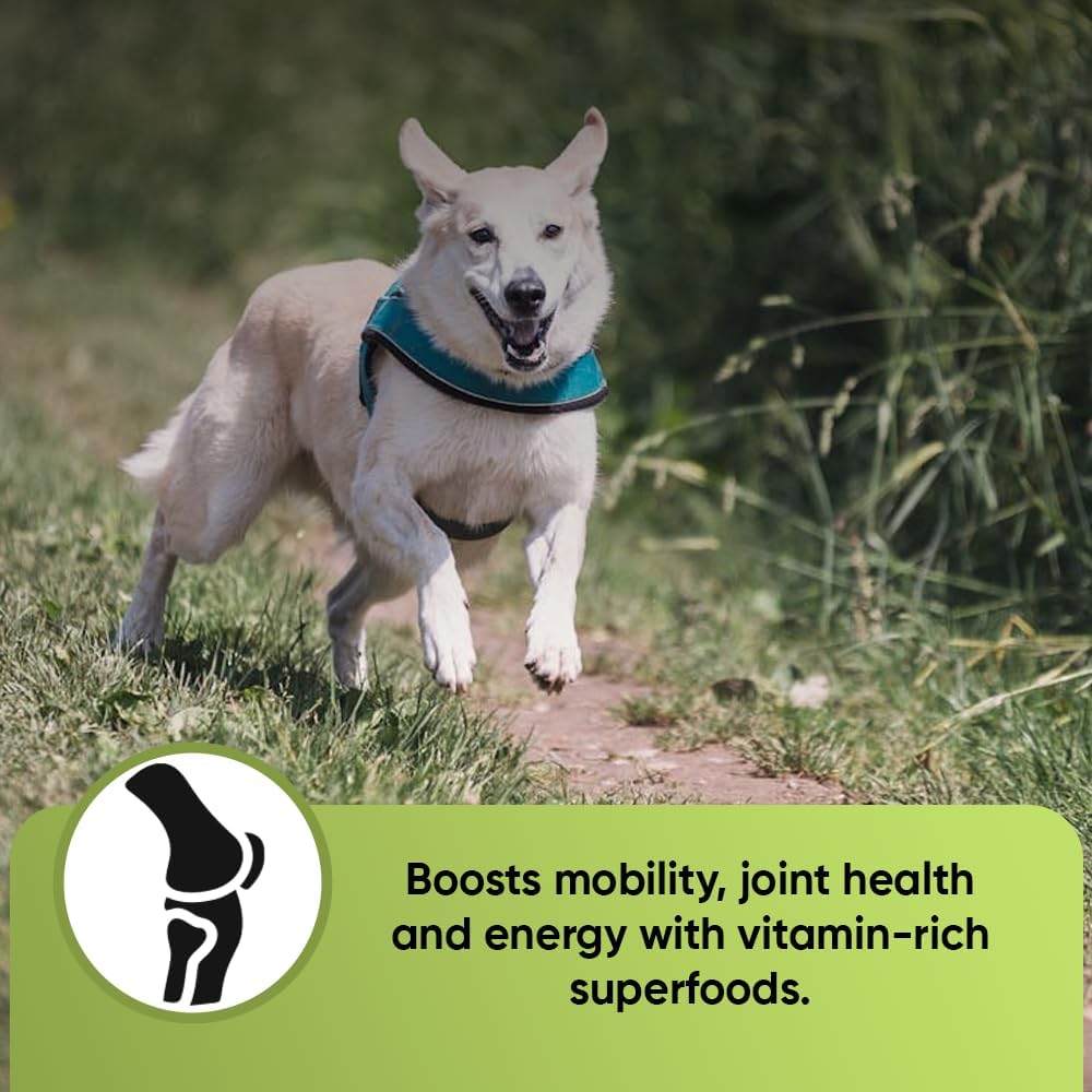 iHeartDogs Super Greens for Dogs with Broccoli Sprouts & Spirulina Powder – Seasonal Allergy & Immune Support Powder – Vitamins, Antioxidants & Minerals Supplement for Dogs - görsel 4