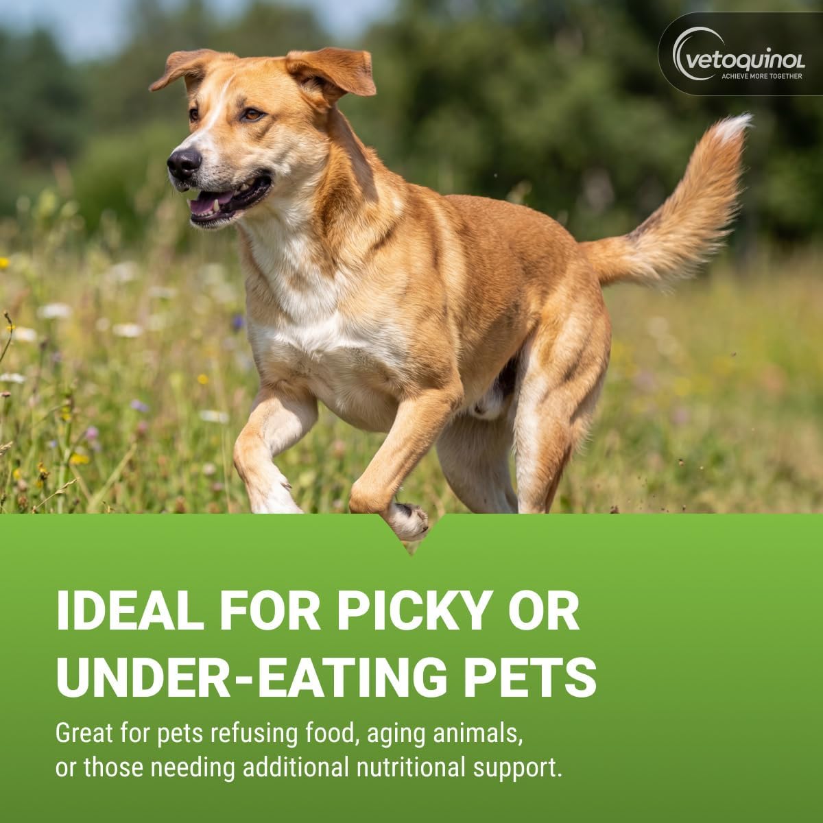 Vetoquinol Nutri-Cal - High-Calorie Nutritional Gel for Dogs and Cats - 120g - görsel 4