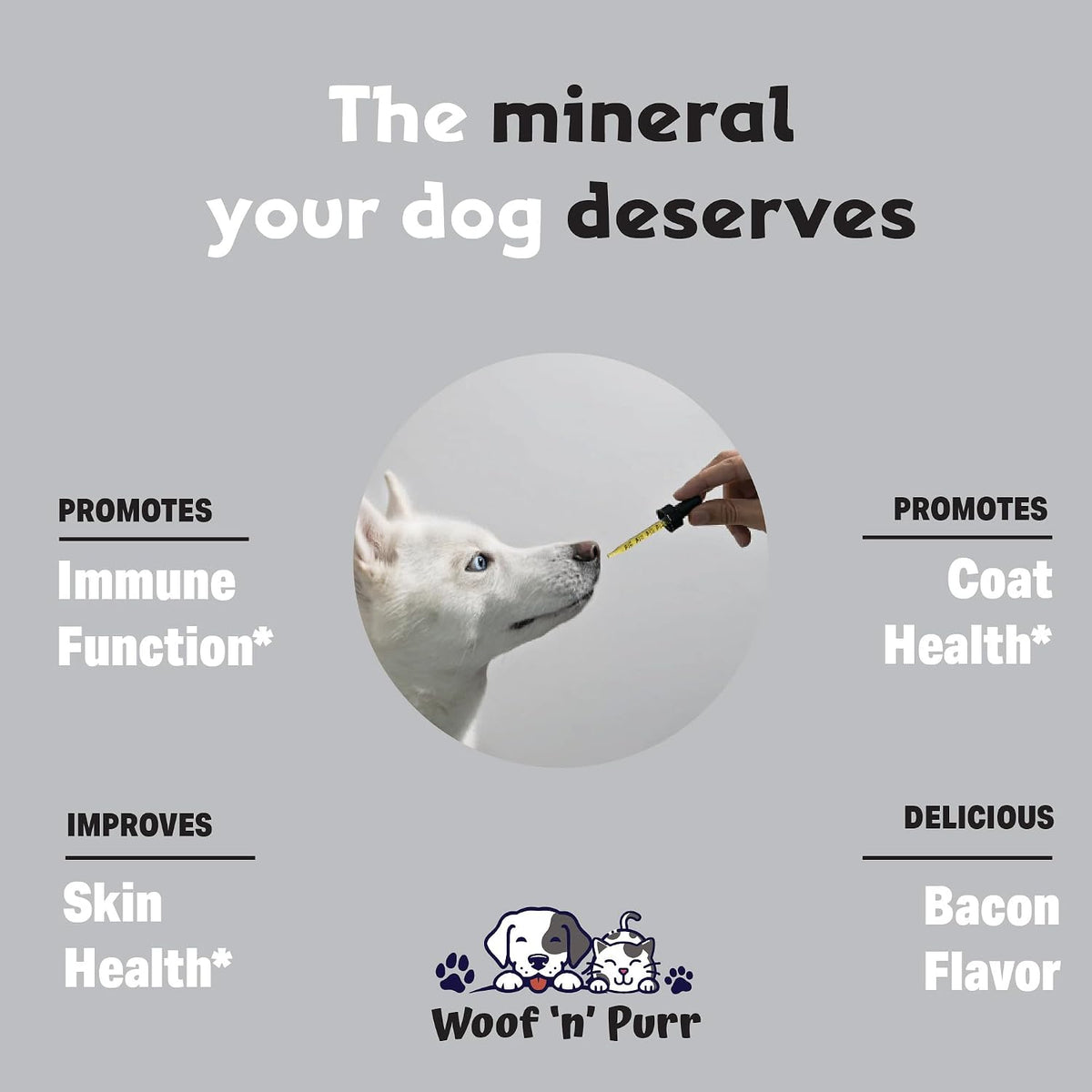 Zinc for Dogs - Dog Zinc Supplement - Bacon Flavour - görsel 3