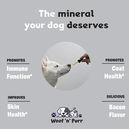 Zinc for Dogs - Dog Zinc Supplement - Bacon Flavour