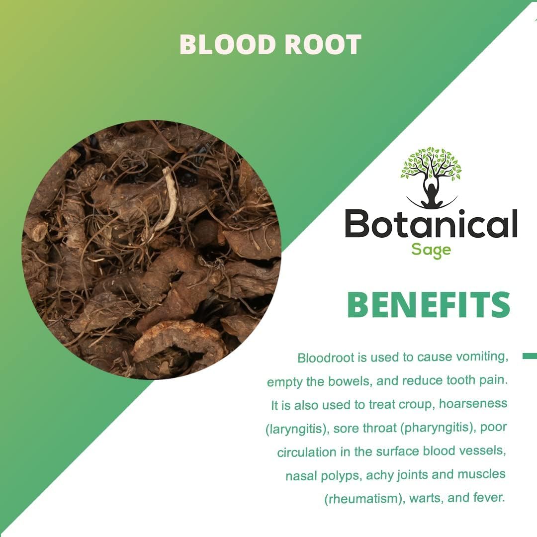 ATS -Bloodroot 200g | Sanguinaria Canadensis - görsel 4