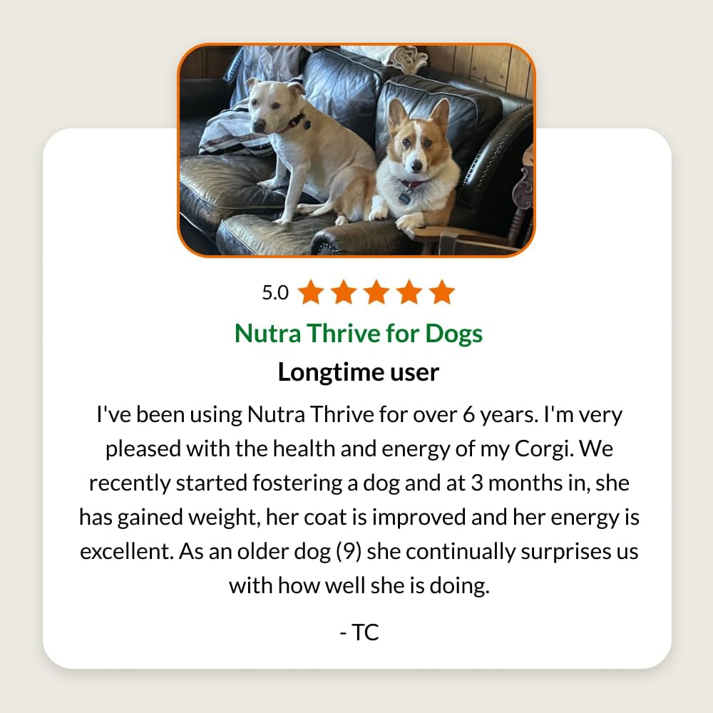 Ultimate Pet Nutrition Nutra Thrive Canine, 40-in-1 Nutritional Powder Supplement for Dogs – Bacon Flavour, 30 Scoops - görsel 6