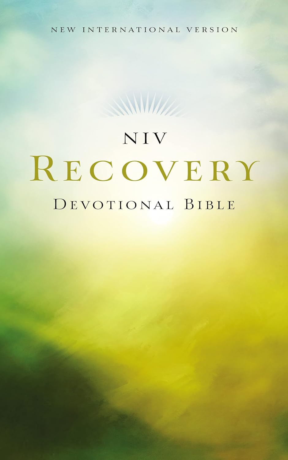 NIV, Recovery Devotional Bible, Paperback - görsel 1