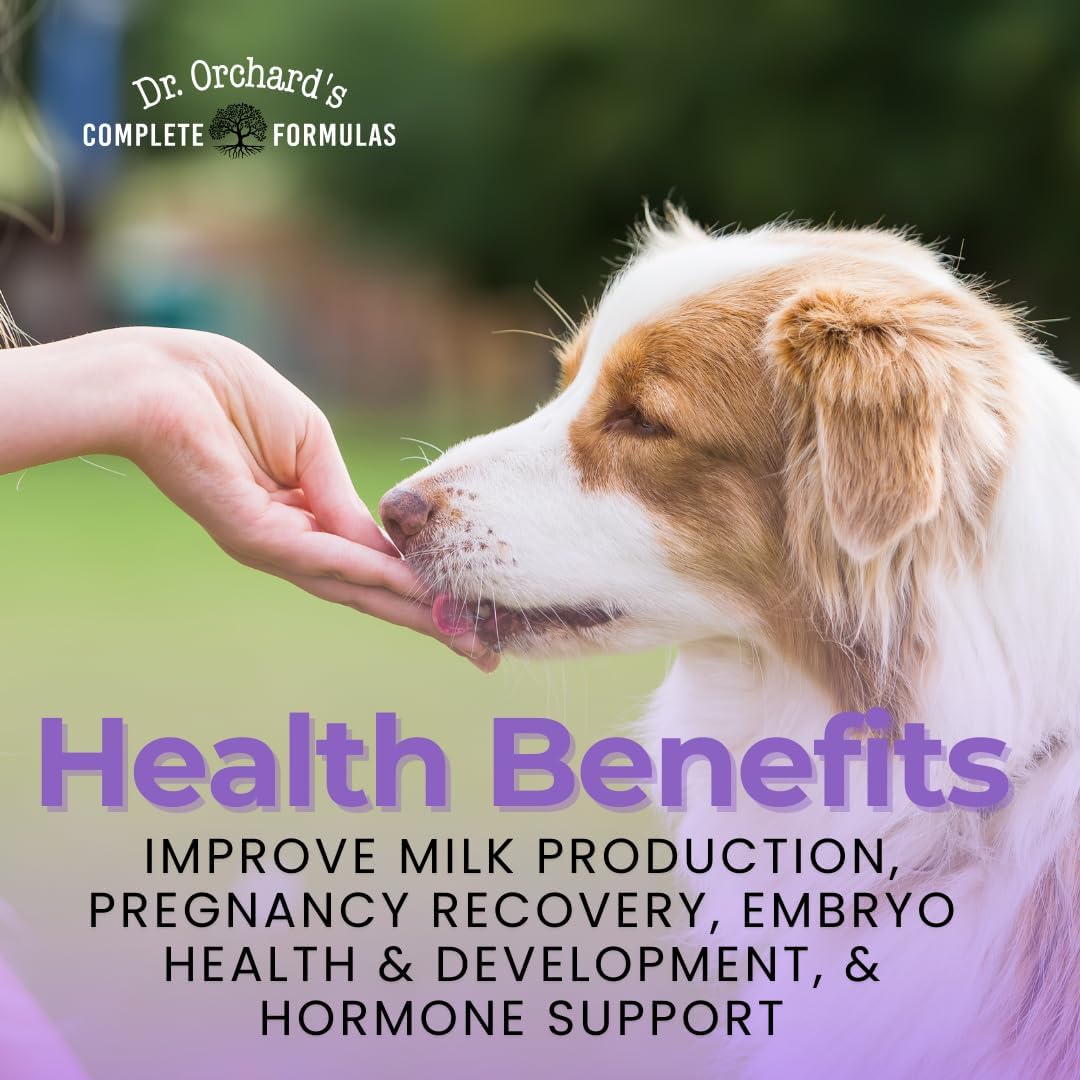 Dr Orchards Pregnancy Pro Dog Prenatal Vitamins - Premium Dog Supplement for Pregnancy, Prenatal + Postnatal, Lactation and Newborn Health Support, 90 Ct - görsel 4