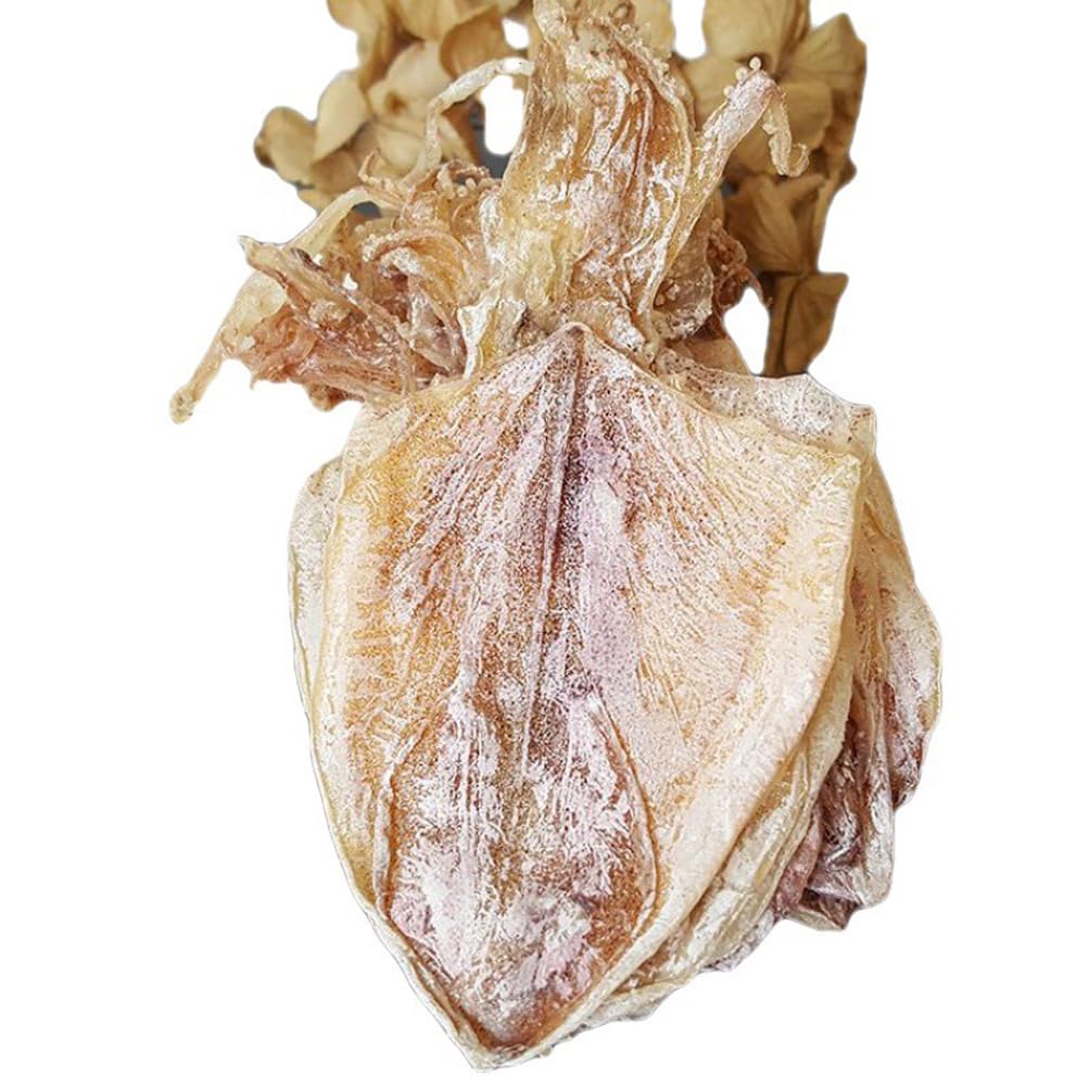Dried Squid and Cuttlefish (100g) - görsel 1