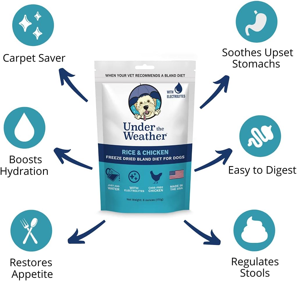 Under the Weather Bland Diet for Dogs - 6 Pack (Multi-flavour, 6 oz each) - görsel 2
