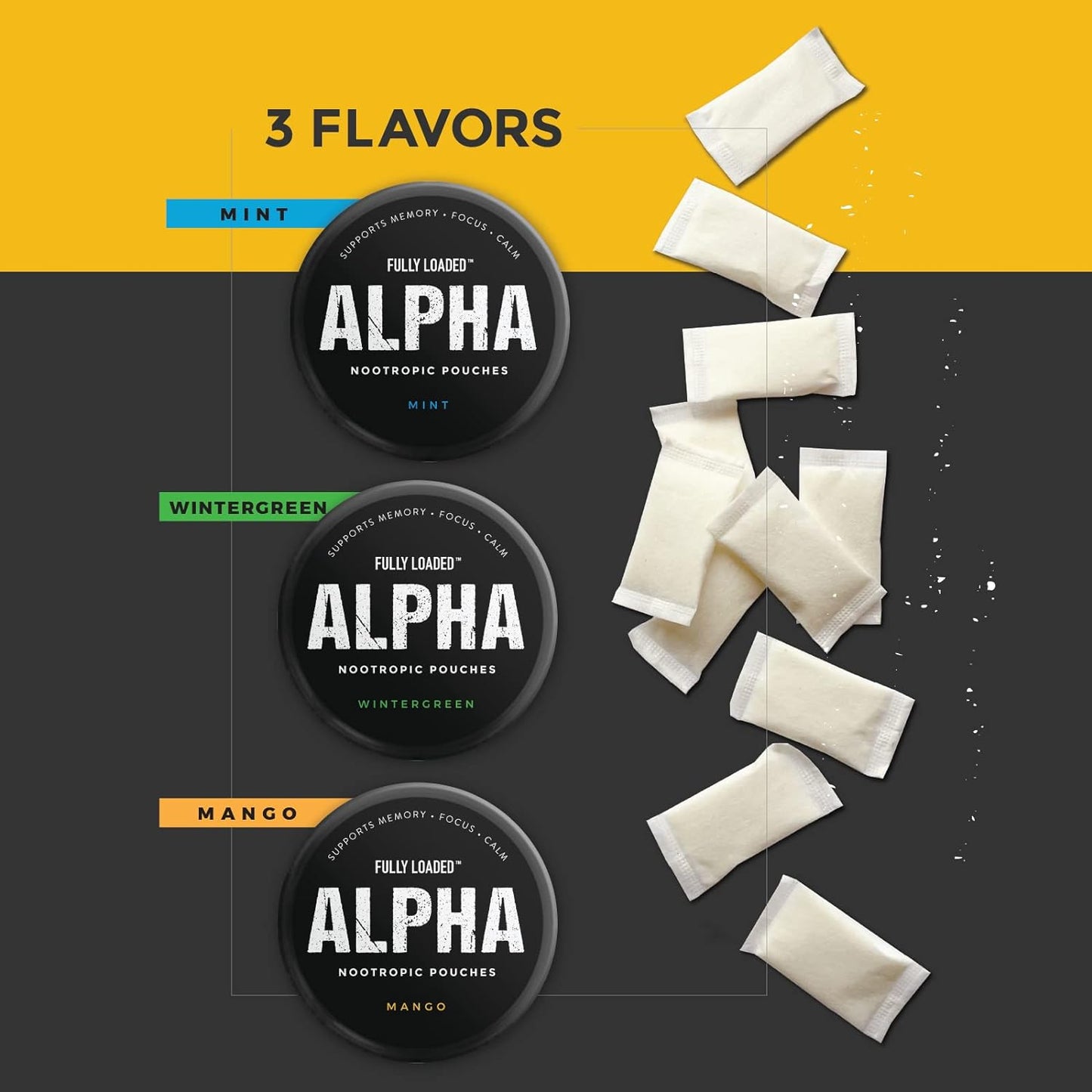 Fully Loaded Alpha Nootropic Pouches (Mint) - 5 Tins - 15 Pouches per Tin - Nootropic Delivery with Alpha GPC, L-Tyrosine, GABA - görsel 2