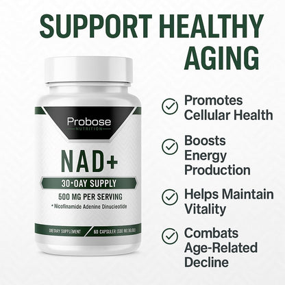 Probase Nutrition NAD Supplement 500mg – High Potency NAD+ Maximiser (30-Day Supply)