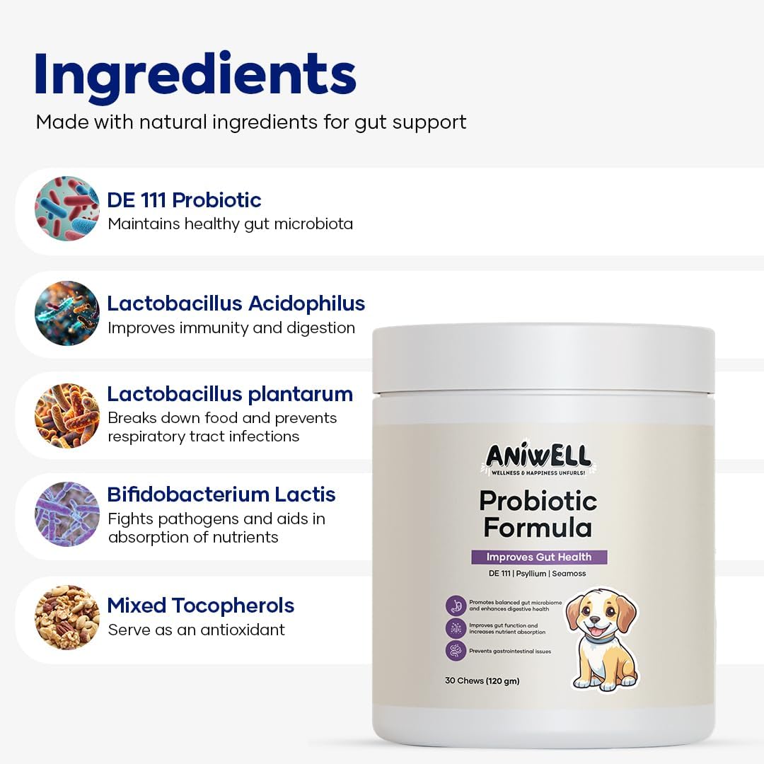 Aniwell Probiotic Chews for Dogs – Multi-Strain Digestive Support, Pack of 2 - görsel 2