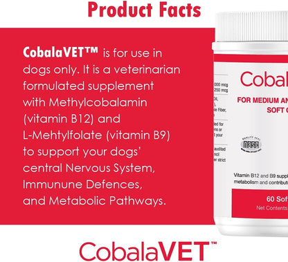 CobalaVet Vitamin B12 & B9 for Small Dogs & Cats – Supports Nervous System, Brain Function, Immune Defences & Cell Growth – Blood Cell Formation – Metabolic Pathway – 60 ml Liquid