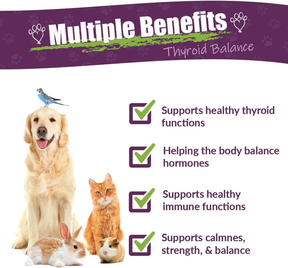 Amber NaturalZ TYD Thyroid Balance Herbal Pet Supplement, 4 fl oz - görsel 2