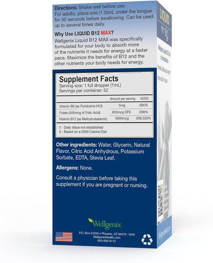 Wellgenix B12 Max Liquid - Sublingual Vitamin B12, B6 & Folic Acid Supplement (2 Pack)
