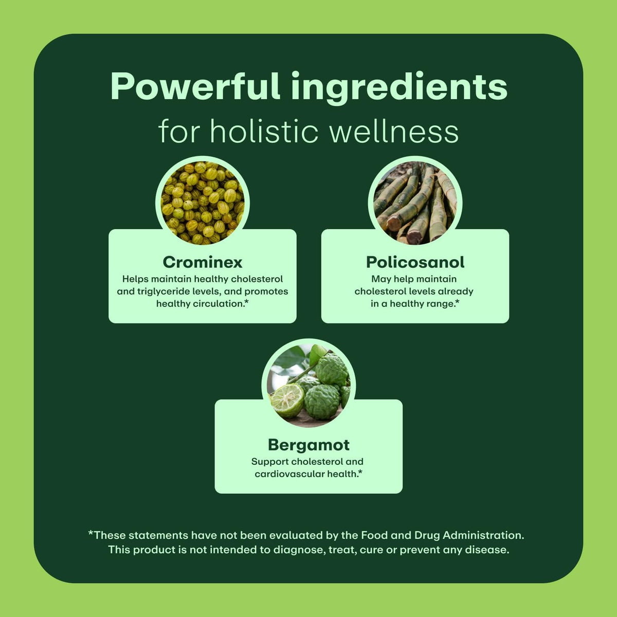 WellWithAll Cholesterol Support Supplement - görsel 2